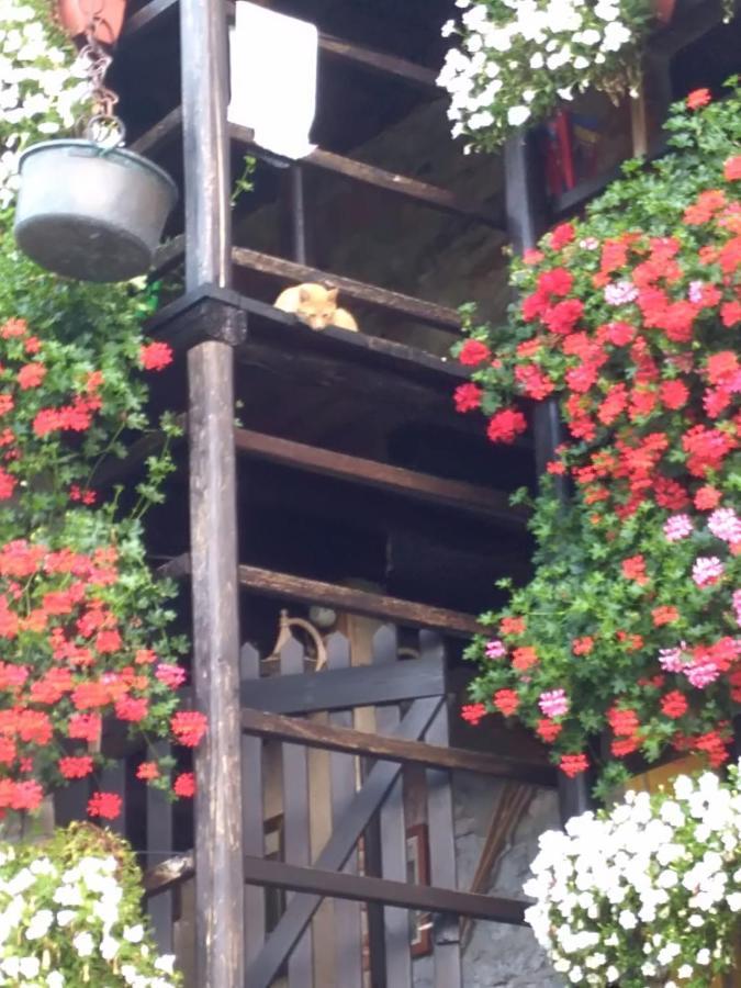 B&B "La Baita Delle Coccinelle" วาราลโล ภายนอก รูปภาพ